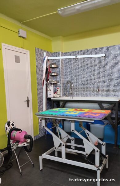 Traspaso peluqueria canina y felina por jubilación